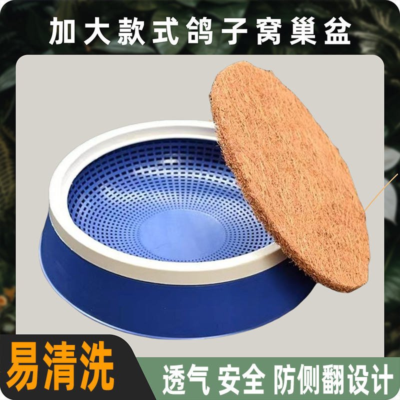 鸽子窝 信鸽巢 鸽具塑料孵盆 蛋窝 蛋盆 赛鸽 棕垫是垫子厂家直供