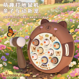 惯性回力玩具;遥控车;其他益智玩具