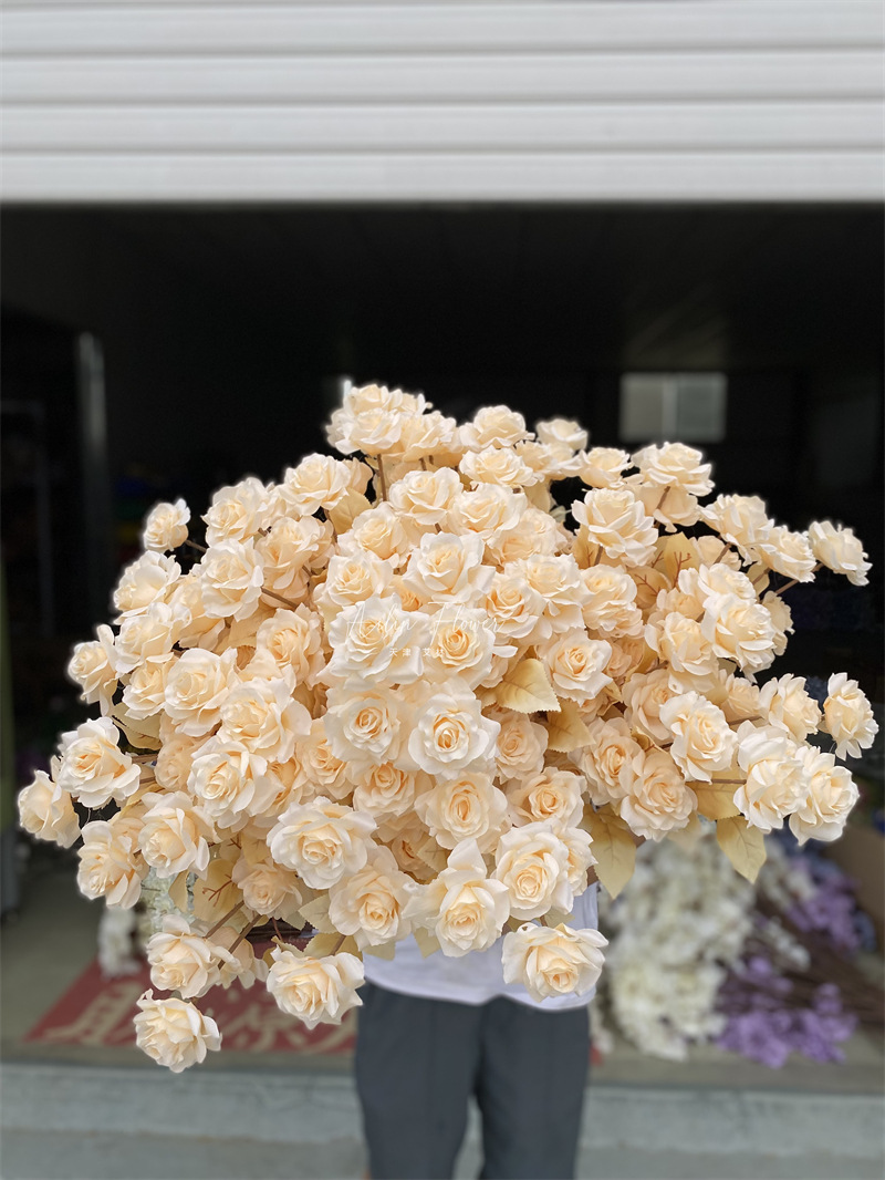 5头百喜玫红