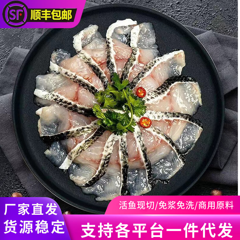免浆黑鱼片新鲜现切酸菜鱼乌鱼免切免洗冷冻火锅食材黑鱼商用批发