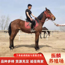 ���� �����T�Ļ��R �ɹ��R.�����RС�R�xʲôƷ�N���R�ܵĿ�