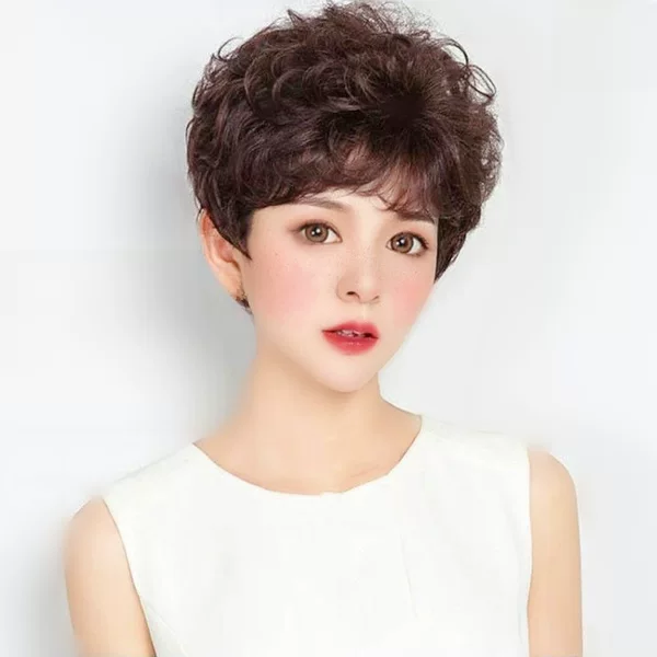 Factory wholesale ladies head replacement block new middle-aged and elderly mothers covered white short curly hair block simulation human hair piece