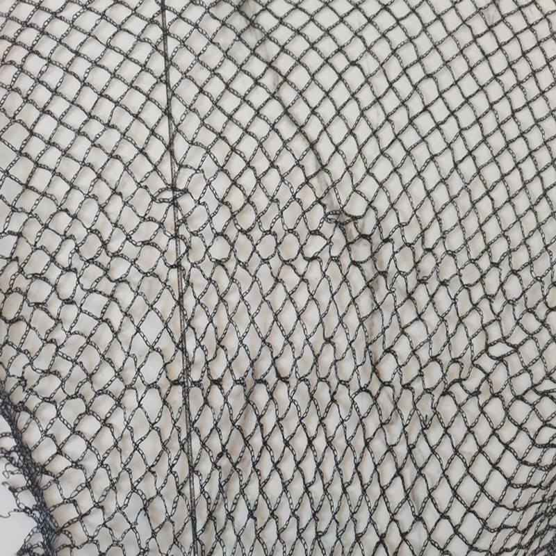 QQ图片20220711095950_副本