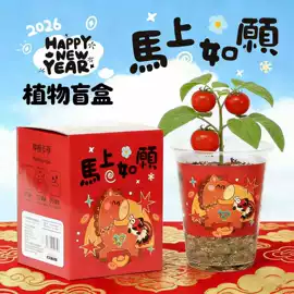 中性笔;橡皮擦;文具套装