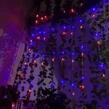 3*6LED�ٲ���ˮ�� ���ڹ�԰�̳ǻ�԰����װ�εƴ�����220V���