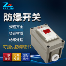 防爆断路器开关86型墙壁式新款防爆开关220V 20A明装暗装照明开关