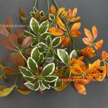 ����ֲ��֗U����ľ�lؔ��������y�Ә�Gֲ�~�ӻ�Y�����b��쾰