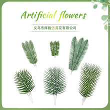 ��������ɢβ���~ �羳��c�廨�F���~��֦�~ �������ɢβ���~