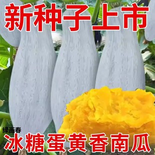 ���ǵ��S���ϹϷN���ļ��Nֲ����ζ�߲�����Ŵ�ϹϷN�Ѽ�ͥ�̨