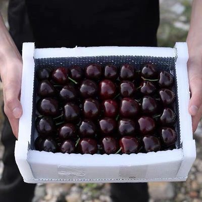 Place of Origin goods in stock Chile fresh Cherry Cherry Black Pearl Trade price fruit