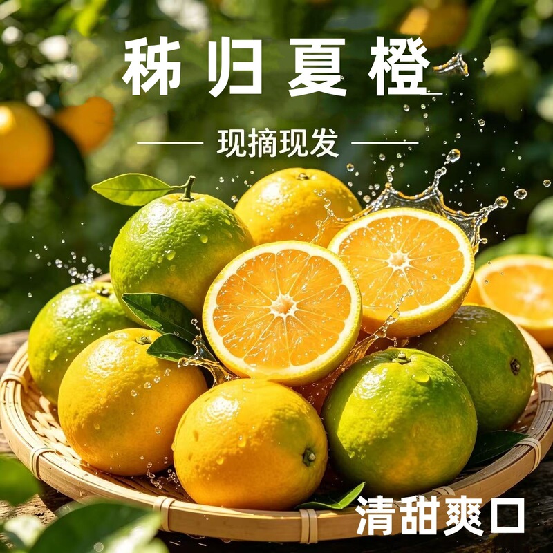 Xizi County Summer Oranges Are Late-Season Fresh Sour Oranges with Thin Skin and Juicy Flesh, Suitable for Stalls and Juicing, Wholesale Fruit for Pregnant Women Xizi County Summer Oranges Are Late-Season Fresh Sour Oranges with Thin Skin and Juicy Flesh, Suitable for Stalls and Juicing, Wholesale Fruit for Pregnant Women
