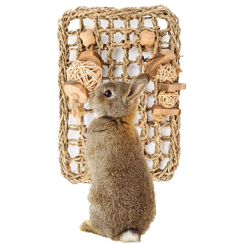Rabbit Totoro Dutch Pig Cage Inner Anti-grass Mat Apple Wood Bite Toy Relieving Bite String Molar Toy Rabbit Totoro Dutch Pig Cage Inner Anti-grass Mat Apple Wood Bite Toy Relieving Bite String Molar Toy