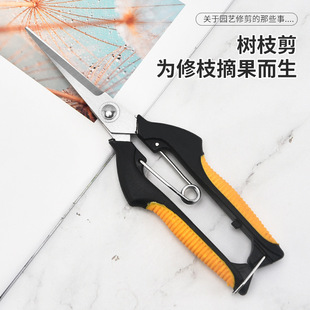 Stainless steel pointed-toe orchard fruit picking scissors grape vegetable and fruit sparse fruit scissors pruning fruit branch scissors