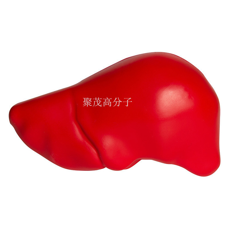 시뮬레이션된 간 95*60*35mm