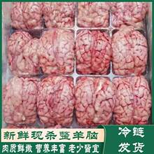 ���X���r��������X�������X���X�����r���X������✫ʳ������