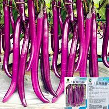 һ�����l����һ̖�L�ѷN�����ش������Ӵ�ȫ���ļ����߲˷N����