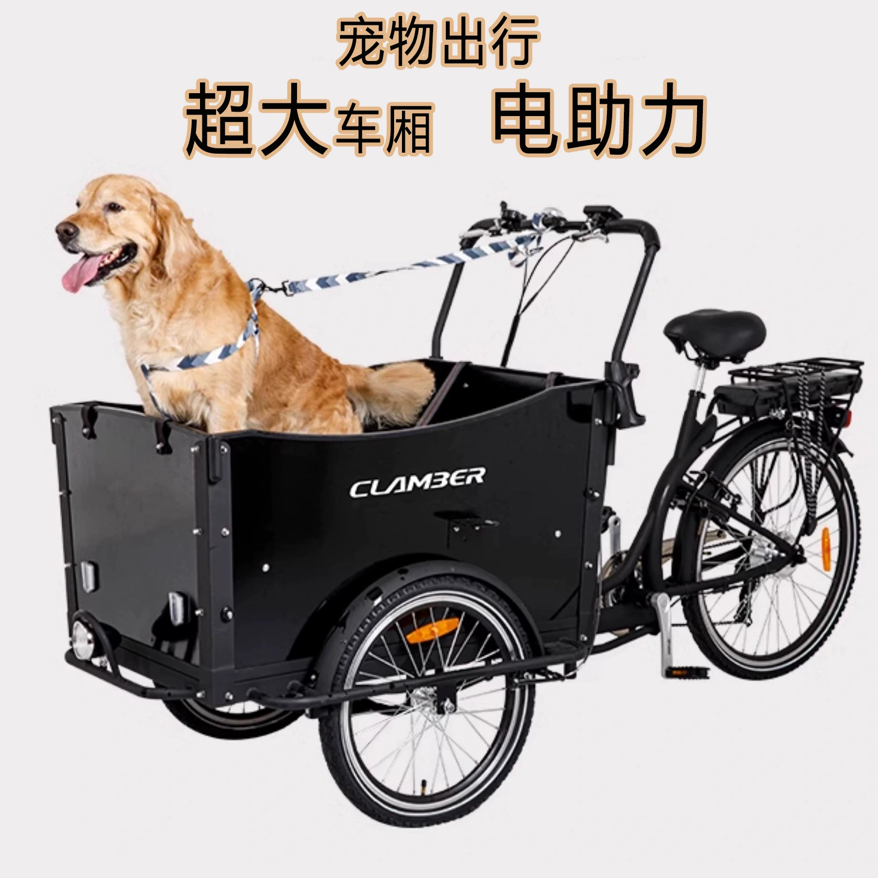 Грузовой велосипед, велосипед с задним ходом, трехколесный велосипед с задним ходом, семейный велосипед, транспорт для животных, грузовой велосипед, грузоподъемность