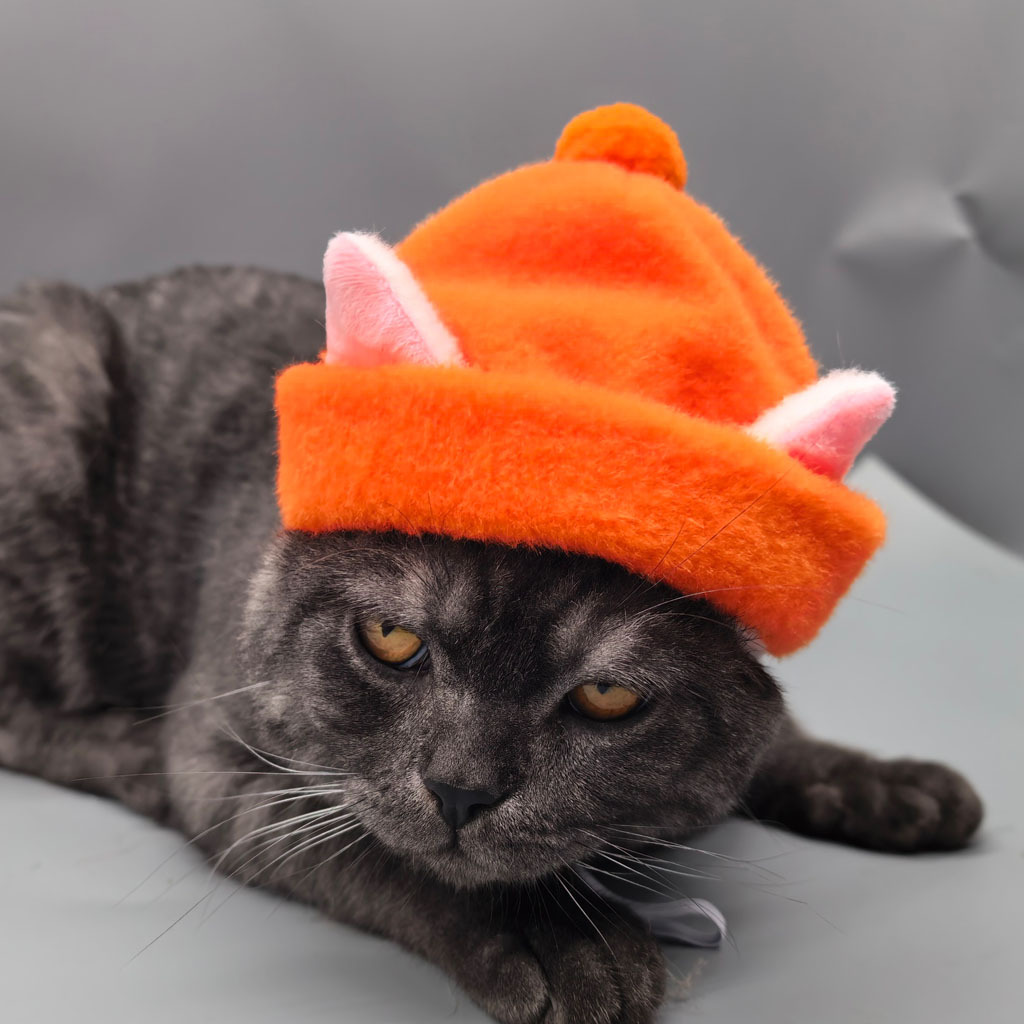Gorro de pelagem sintética de coelho para gatos e cães_voghion.com