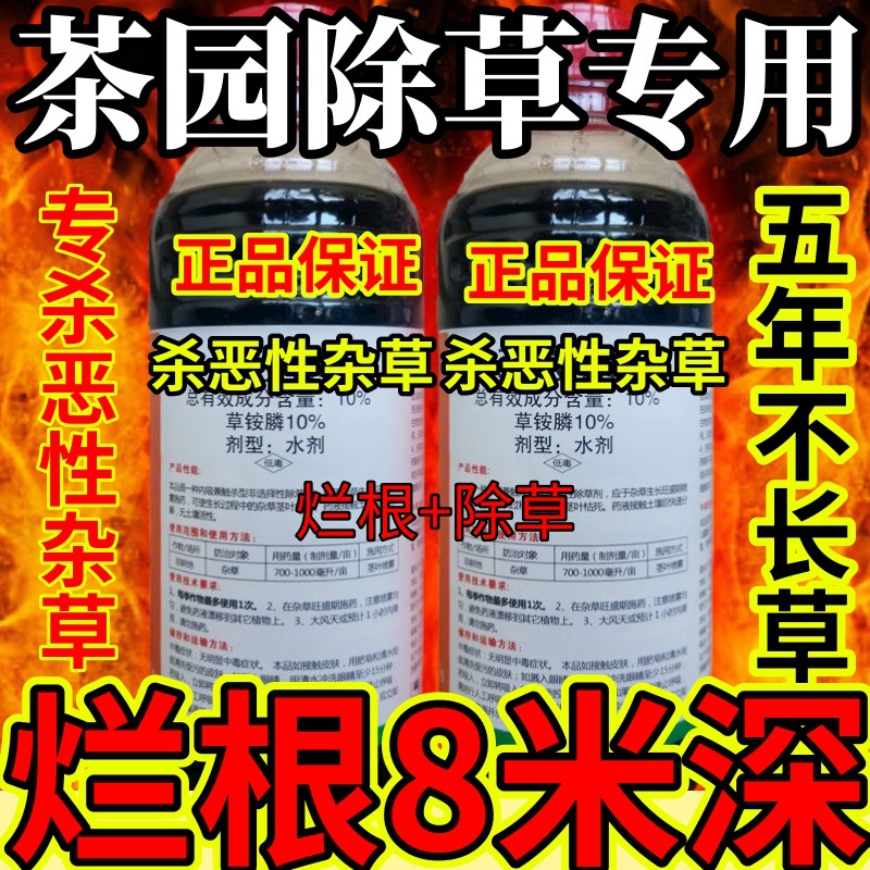 杀草快高浓度精草铵膦铵盐果园牛精草小飞蓬各种杂草茶园除草专用