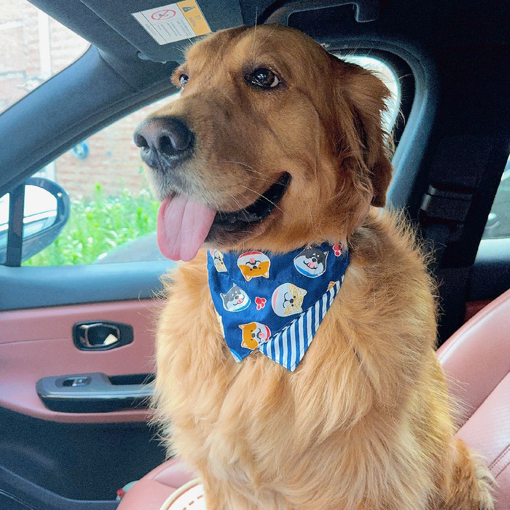 Perro mascota Shiba Inu Meika Golden Retriever perro mediano y grande a rayas estilo azul marino bowknot bufanda triangular cubierta para la cabeza image 4