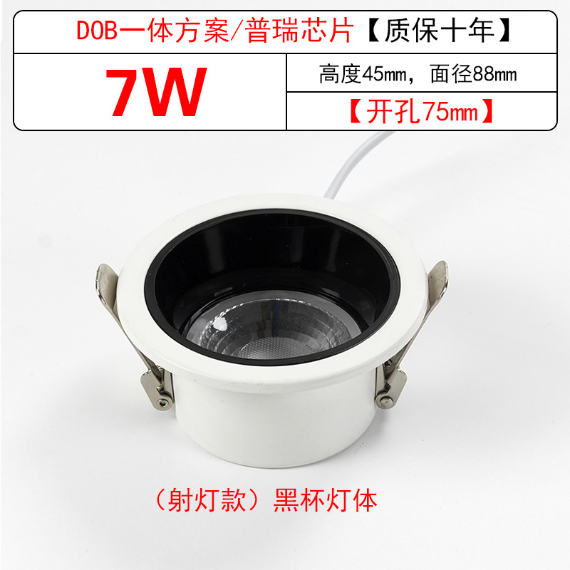White Shell black cup [Spotlight type] 7W