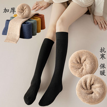 袜子女冬季保暖加厚毛圈小腿袜纯色中筒显瘦美腿及膝袜毛巾底长袜