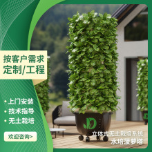 立式无土栽培系统水培菠萝塔大棚种植水果蔬菜养植盆气雾栽培系统