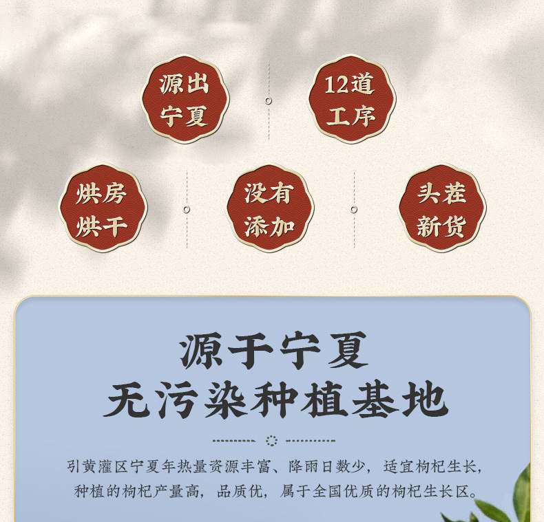 Goji Berries Ningxia Zhongning Large Grade 500g Sun Dried Red Wolfberry for Tea Soup and Soaking key features