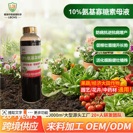 店长推荐10%氨基寡糖素母液 防病杀菌剂提高作物抗逆抗病源头厂家