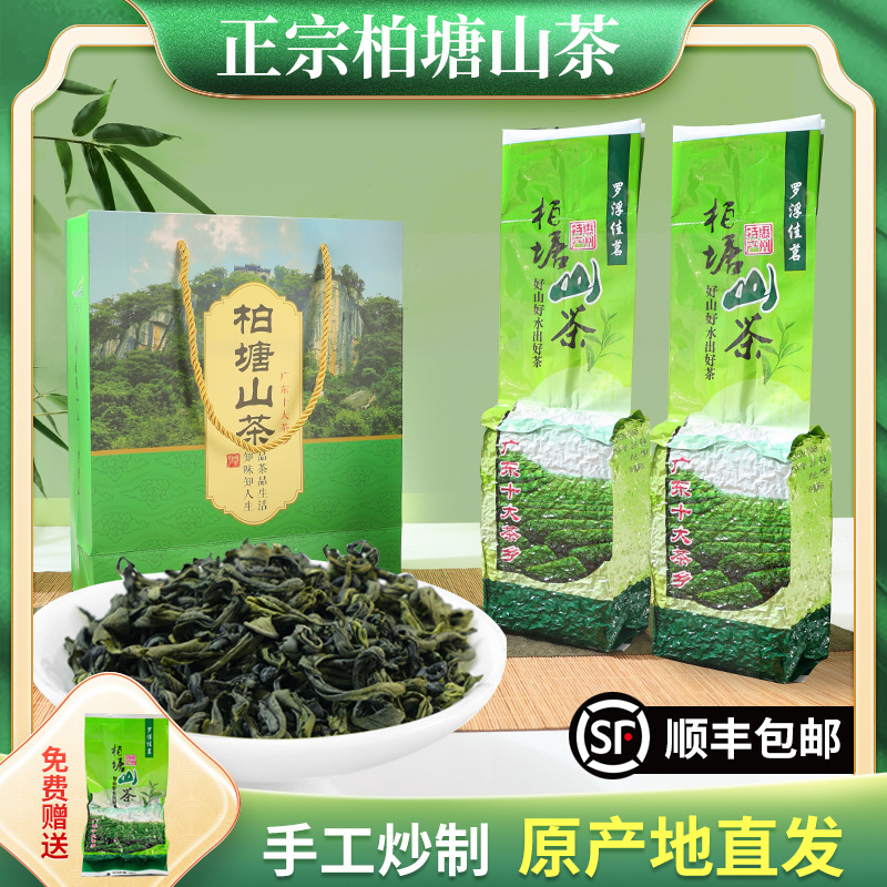 博罗柏塘山茶广东十大名茶惠州特级炒青绿茶客家特产罗浮山茶叶