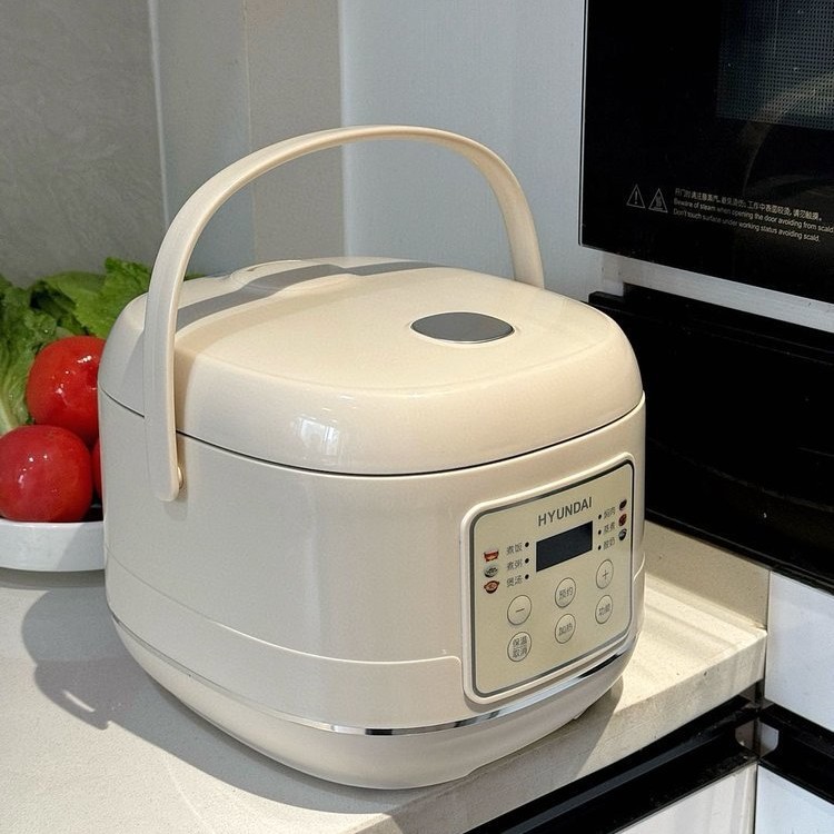 HYUNDAI ヒュンダイ スマート炊飯器 家庭用 小型 大容量 2-3人用 正規品 多機能炊飯器 スマート|undefined