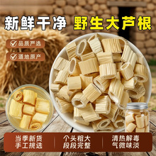 芦根芦苇根中药材正宗野生芦根干货中草药搭藕节白茅根煲汤煮水喝
