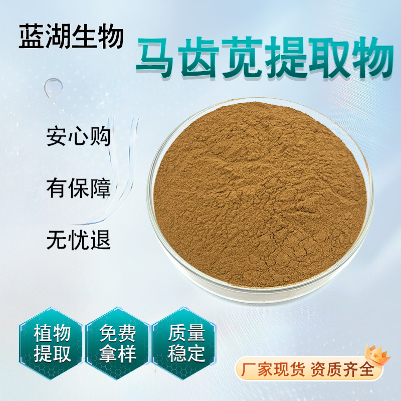马齿苋提取物马齿苋固体饮料马齿苋粉末 可做代加工现货包邮