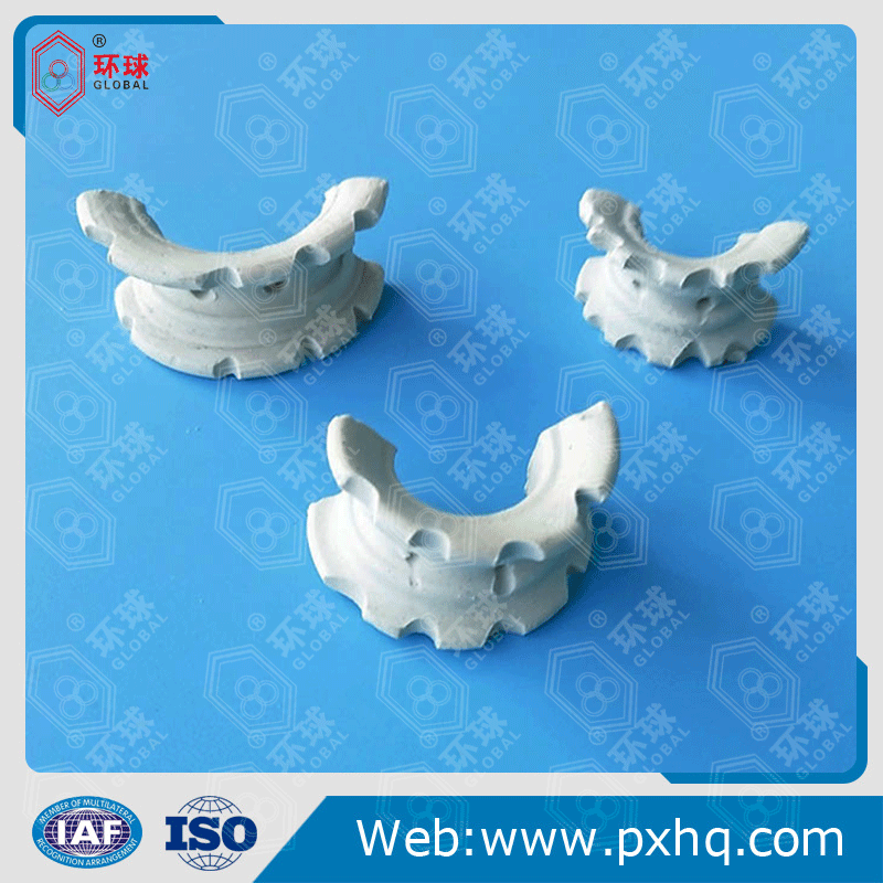 陶瓷异鞍环填料 陶瓷塔填料 异鞍环填料环 质量保障