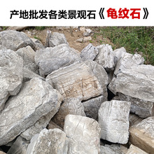 龟纹石石材天然原石庭院鱼池假山石料批发园林假山点缀造景石流水