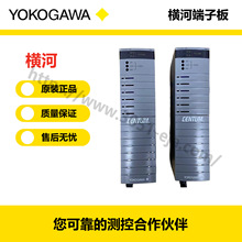 YOKOGAWA �M�� AI/AO��̖���Ӱ� )HICTB16-YC3-RRB-KS-CC-AO16