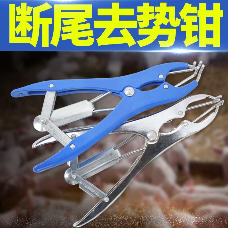 Anillo de corte de cola de oveja banda de goma alicates de corte de cola alicates de expansión de artefacto alicates de castracion de oveja anillo de castracion elástica veterinaria lechón de cordero