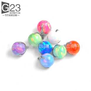 F136���צ�W���Č��A�����ᔶ����G23⁺Ͻ����w�����Ʒ