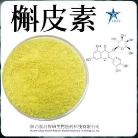 槲皮素98% 槐米提取物 槲皮素粉100g/袋 现货供应 量大优惠 包邮