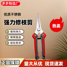 不锈钢修枝剪刀直头花园剪刀摘果剪绿化园林工具剪盆景树工具