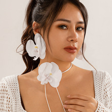 �W���羳�Ʒ ���N�����m���i朳��� �����L��󻨻��ȦŮ