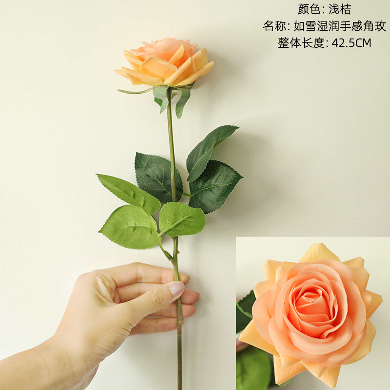 연한 오렌지색