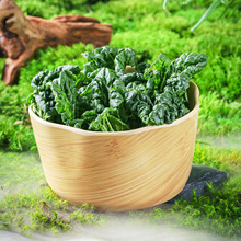 �ܰ�ɽҰ�L��偵���FҰ������ƴ�P��ѿ��ɽ����ͬ�����÷´ɲ;�