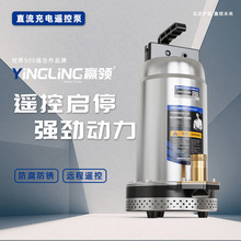 赢领直流锂电充电泵12V无线遥控充电式家用抽水泵农用浇菜便携