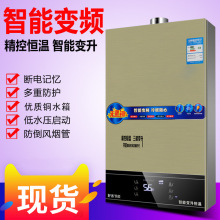 家用燃气热水器天然气煤气液化气强排式自动恒温快速即热厂家批发