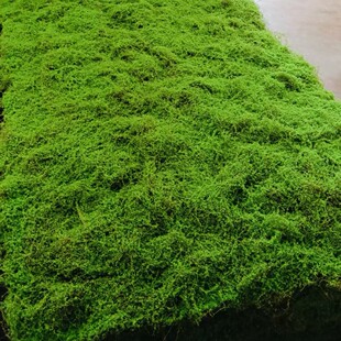 Brown Silk Base Cotton Eternal Moss Moss Block Turf Fake Moss Scene Window Landscaping Moss Micro Landscape Ornaments