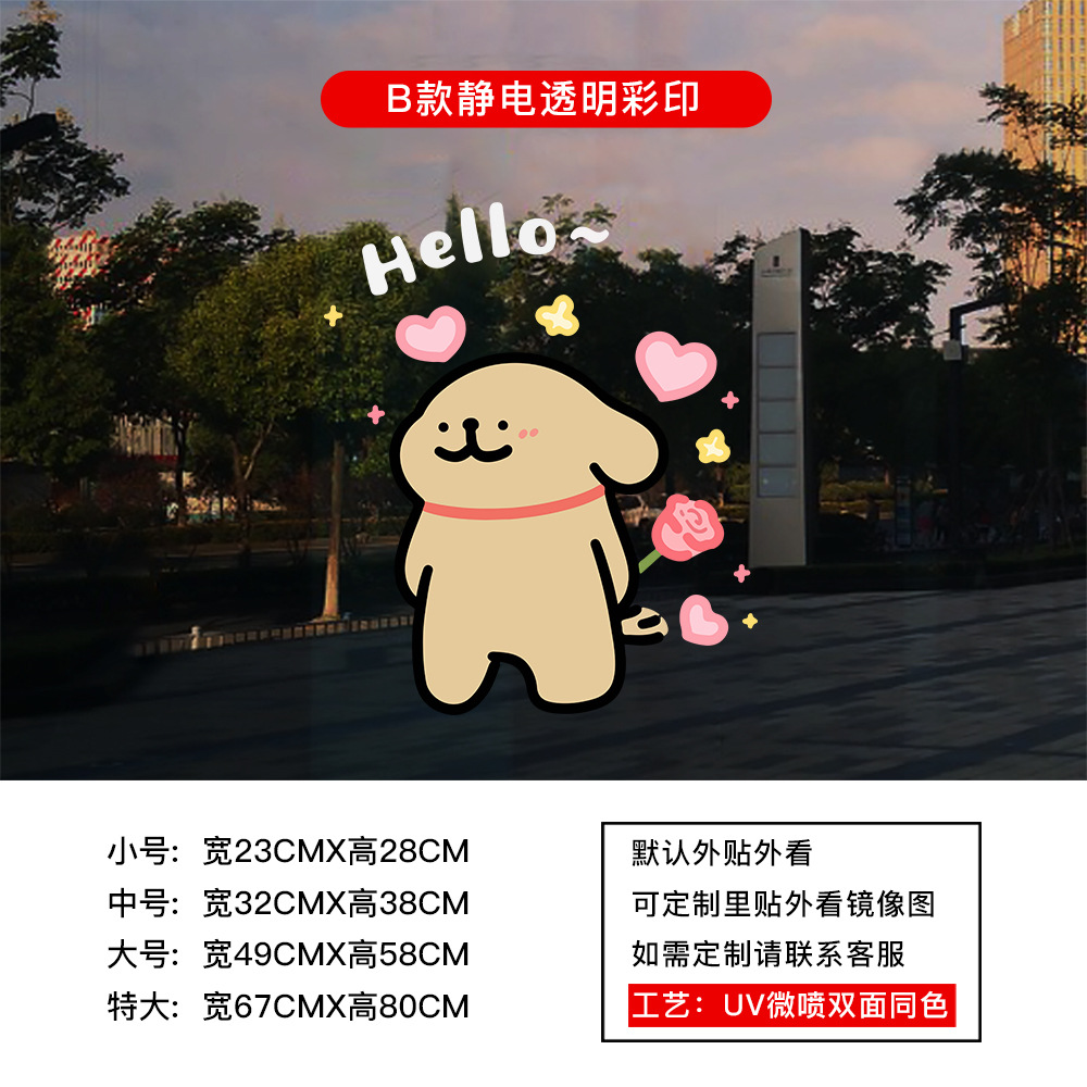 PT101B 정전 투명 컬러 인쇄