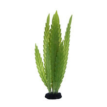 ���S���l������zˮ��ֲ�����ϲݺ���ˮ���~���b�Ʒ�쾰�^�pֱ�N