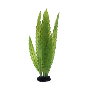 Slzˮֲϲݺˮ~bƷ쾰^pֱN