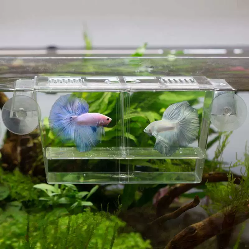 Самоплавающий ящик для мальков двухслойный ящик для вылупления личинок Изоляционный ящик для Больных Рыб Гуппи ведро культиватор ящика для рыбы